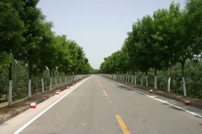 河南黃河網 樹木種植經營的發展現狀與前景